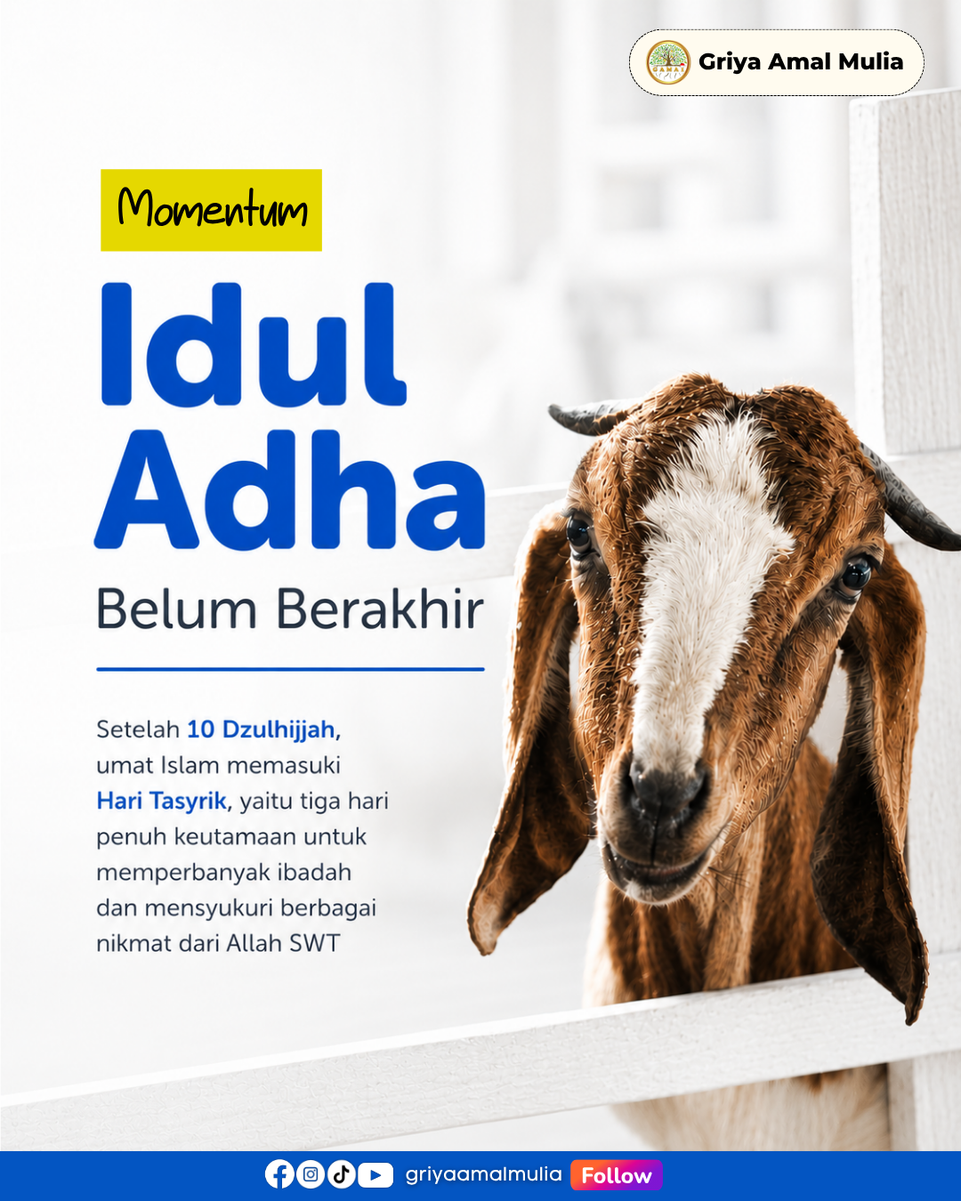 Kurban Sapi Kolektif